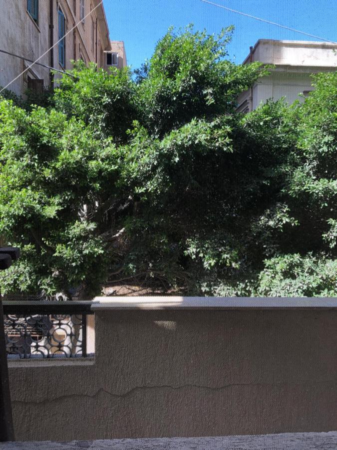 אפרטהוטל אלכסנדריה Caesar House מראה חיצוני תמונה